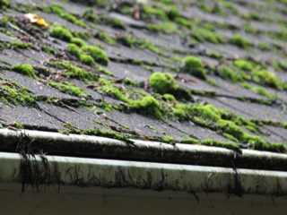 Best Reasons to Recondition Your Roof